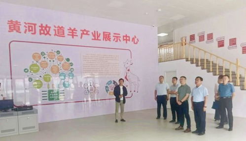 山東省人社廳赴單縣調研，推動羊肉湯專項職業技能培訓品牌化與規范化發展