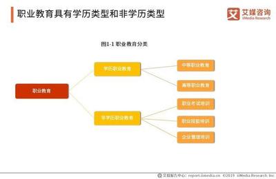 2019中國職業發展教育現狀與細分領域研究報告 非學歷職業技能培訓服務